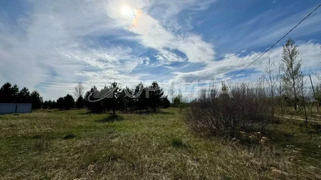 Участок в Тюменская область, Тюменский муниципальный округ, с. Борки  ... - Фото 2