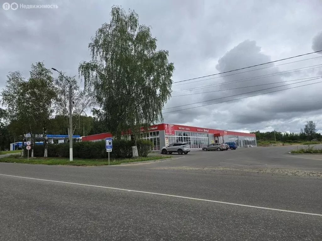 Торговая площадь (80 м) - Фото 2