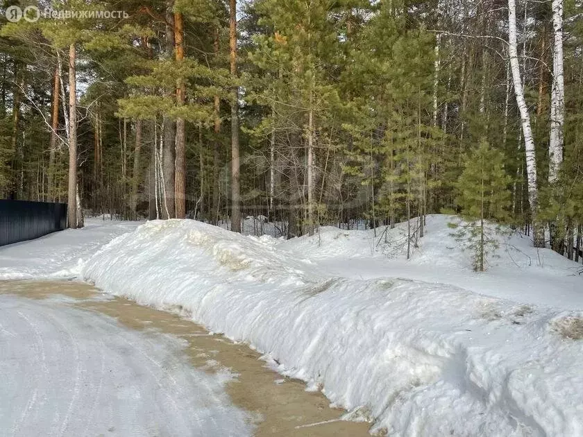 Участок в Нижнетавдинский район, село Тюнево (18.5 м) - Фото 1