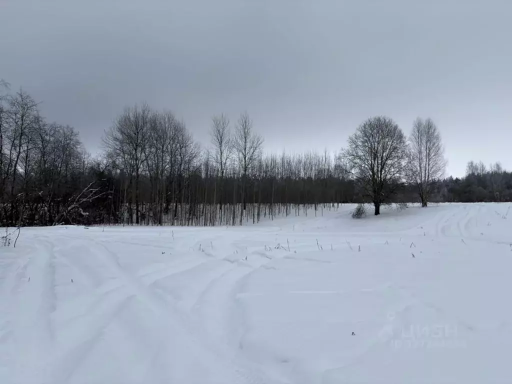 Участок в Ленинградская область, Ломоносовский район, Ропшинское ... - Фото 2