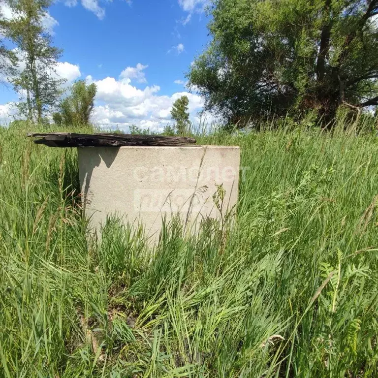 Участок в Рязанская область, Михайловский муниципальный округ, с. ... - Фото 2