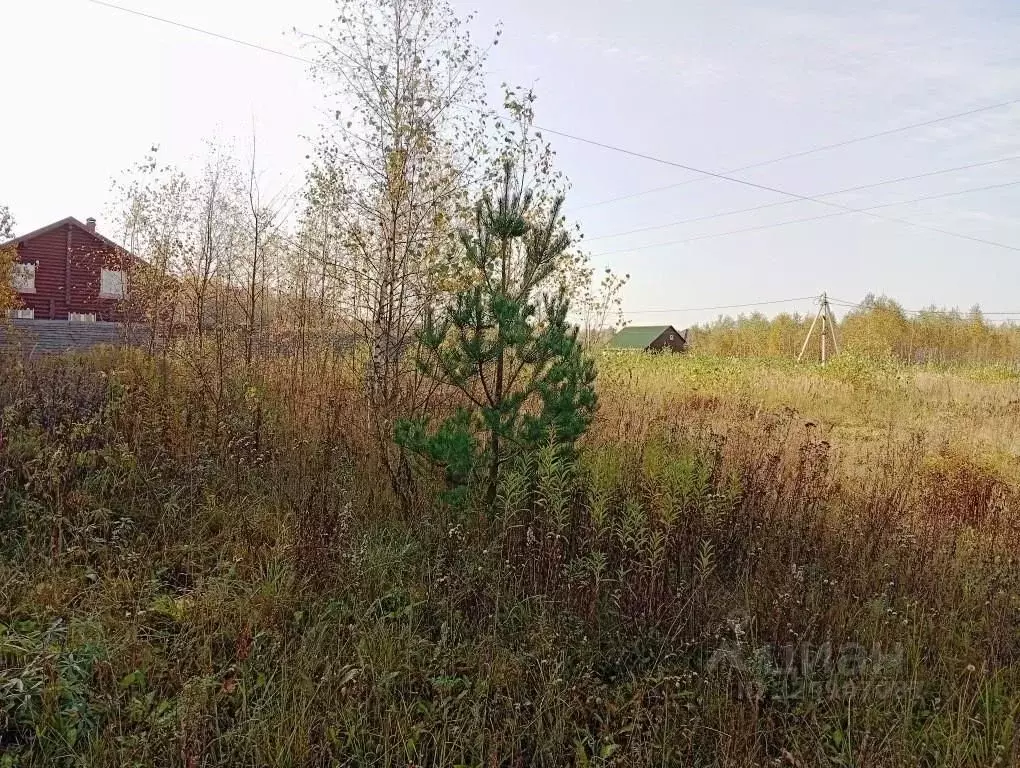Участок в Владимирская область, Киржачский муниципальный округ, д. ... - Фото 2