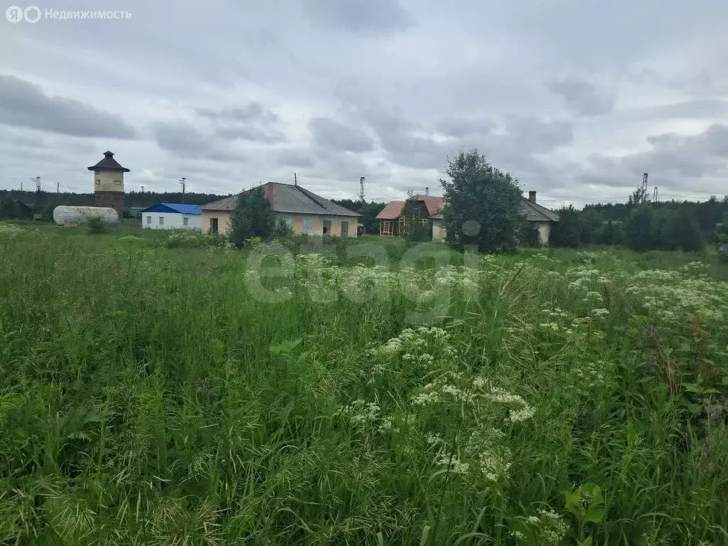 Участок в Свердловская область, Нижнетуринский муниципальный округ, ... - Фото 2
