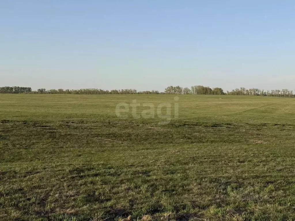 Участок в Алтайский край, Алтайский район, с. Булатово Центральная ул. ... - Фото 1