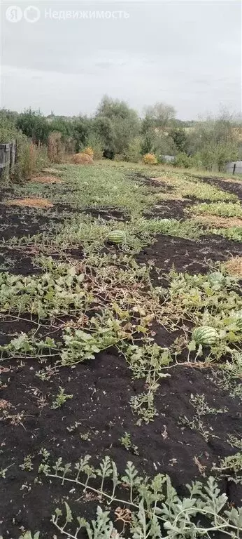 Участок в Кармаскалинский район, Кабаковский сельсовет, село Сихонкино ... - Фото 1