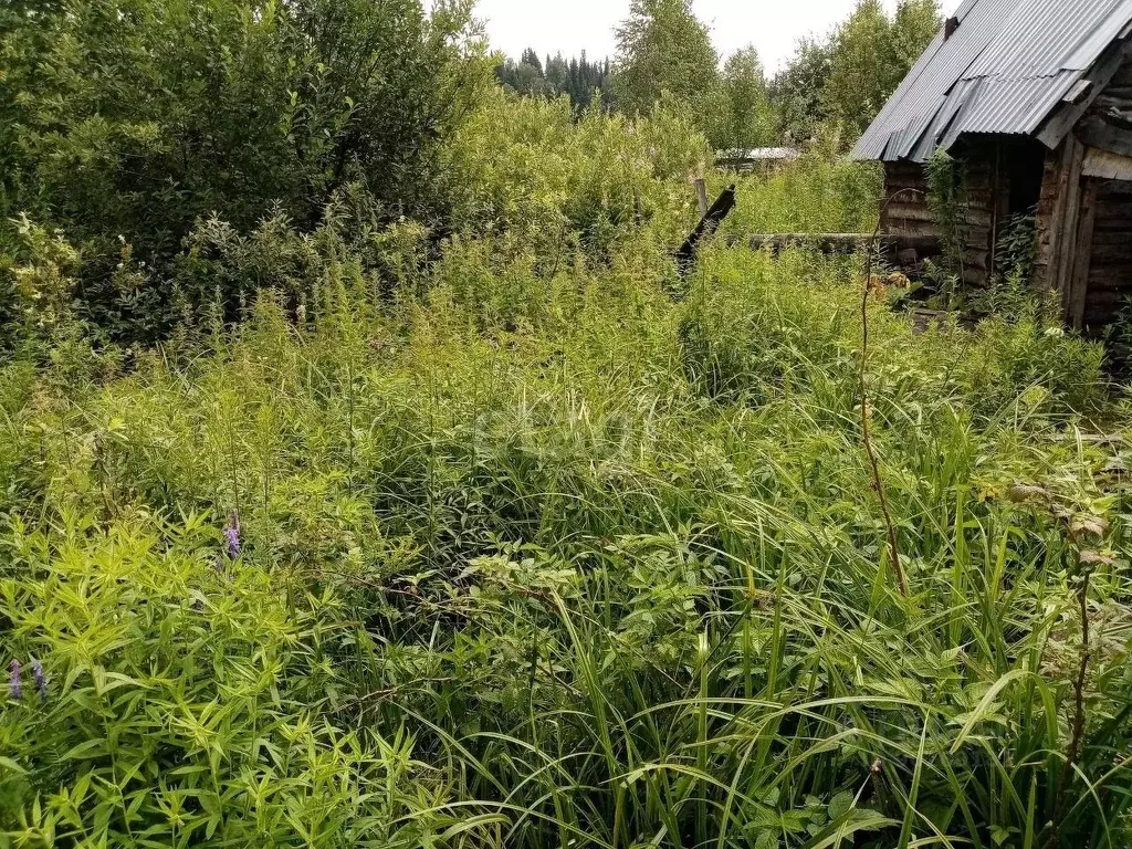 Участок в Кемеровская область, Междуреченск Дачная ул. (6.2 сот.) - Фото 0