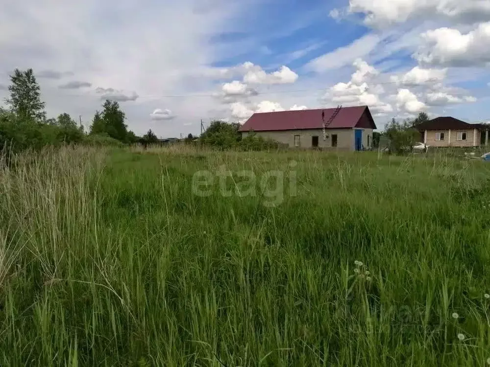 Участок в Тюменская область, Тюмень Царево СНТ, 128 (11.39 сот.) - Фото 1