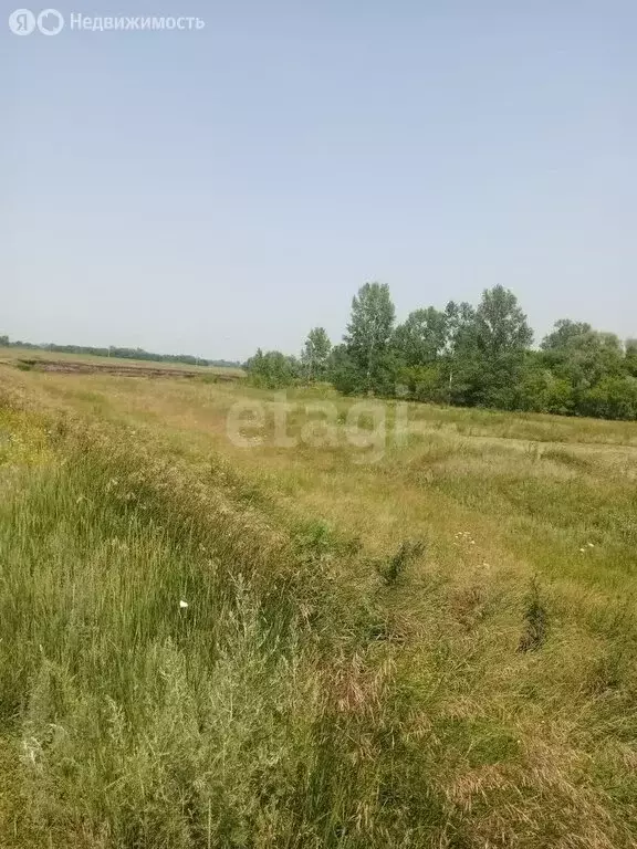 Участок в село Варварино, Социалистическая улица (17 м) - Фото 2