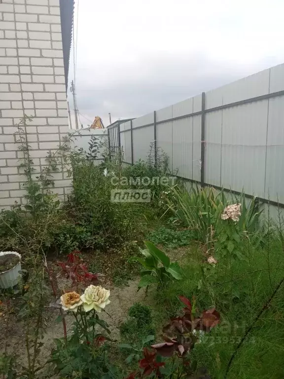 Дом в Курская область, Октябрьский район, Прямицыно муниципальное ... - Фото 2