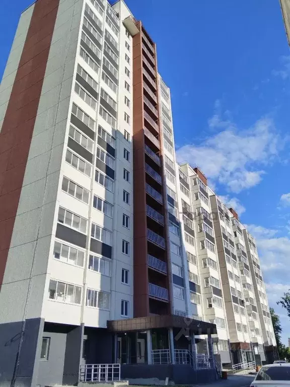 Студия Челябинская область, Челябинск Набережная ул., 7Б (25.42 м) - Фото 0