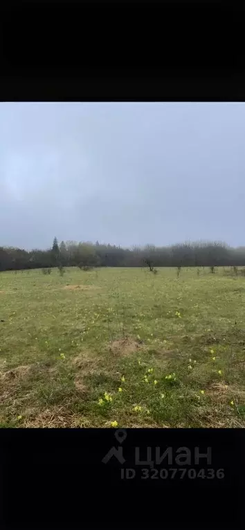 Участок в Ленинградская область, Тосненский район, Трубникоборское ... - Фото 0