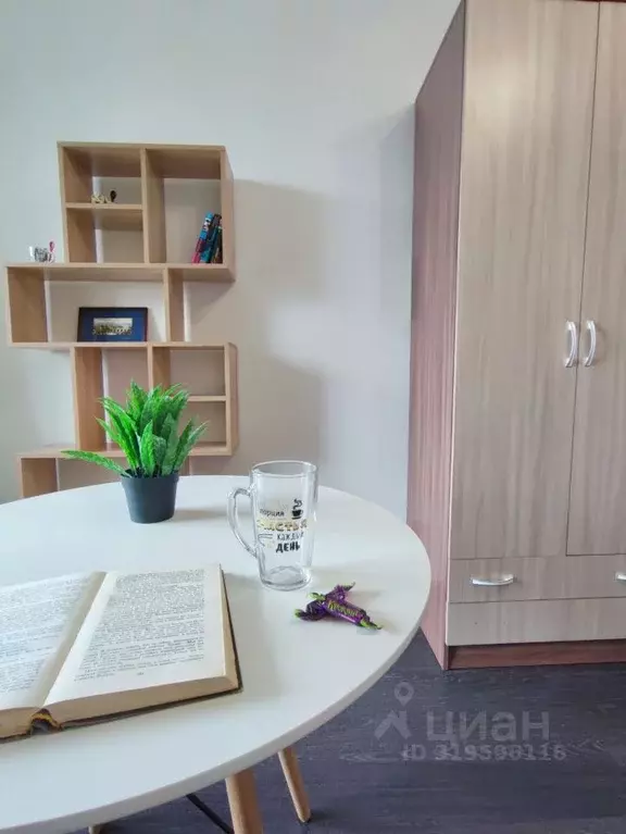 Студия Санкт-Петербург просп. Буденного, 23к1 (24.3 м) - Фото 0