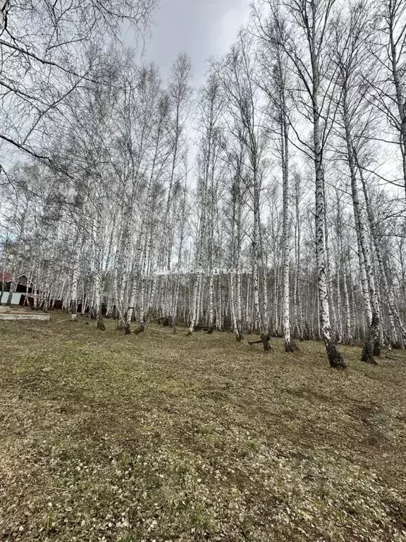 Участок в Башкортостан, Абзелиловский район, Ташбулатовский сельсовет, ... - Фото 1