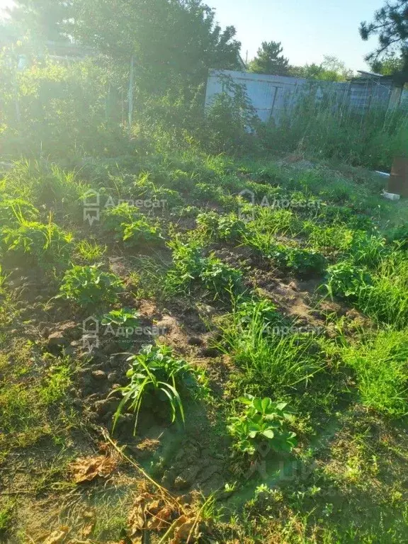 Дом в Волгоградская область, Волгоград Аврора СНТ,  (22 м) - Фото 2