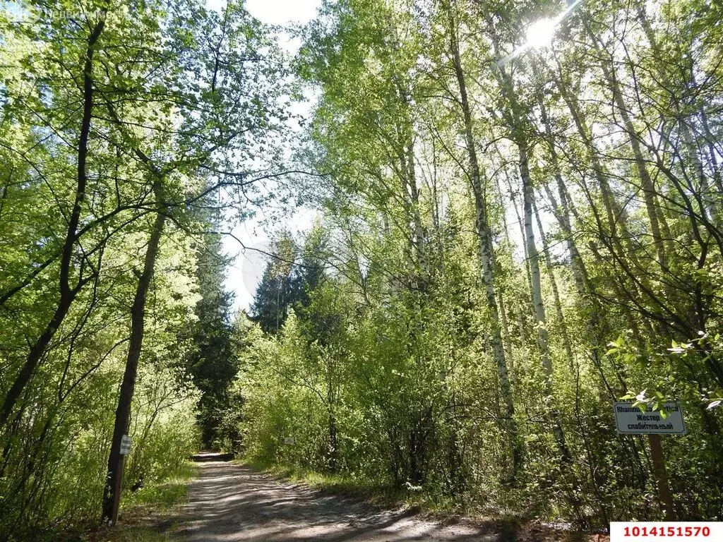Участок в Агой, Горная улица (9.7 м) - Фото 0