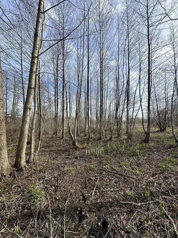 Участок 4,4 сот. (СНТ, ДНП) - Фото 0