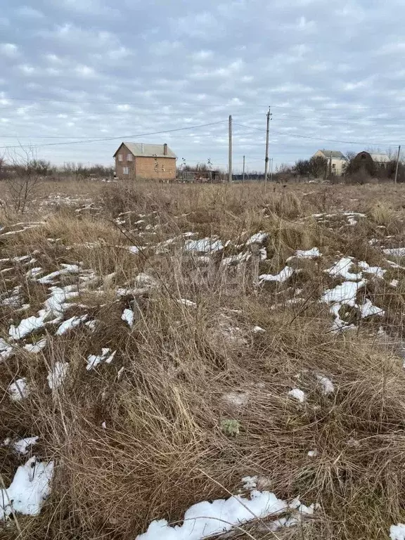 Участок в Ростовская область, Азовский район, Елизаветинское с/пос, ... - Фото 1