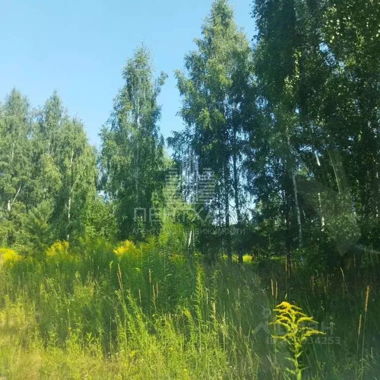 Участок в Владимирская область, Владимир сад Заречье, 86 (10.0 сот.) - Фото 2