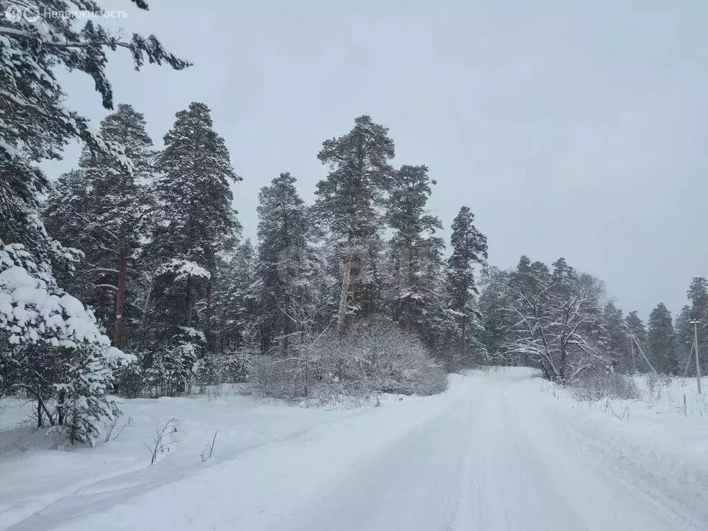 Участок в Куса, посёлок Мыс, улица Спартака (15 м) - Фото 1