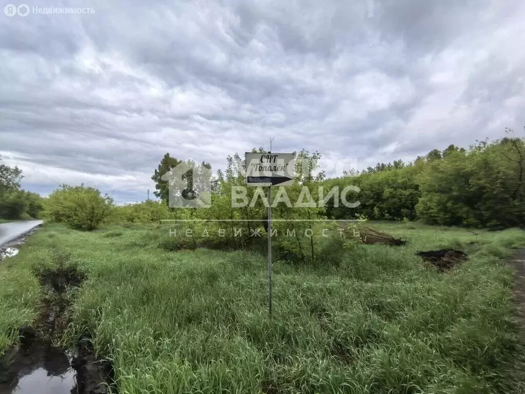 Участок в Омск, Центральный округ (13 м) - Фото 2
