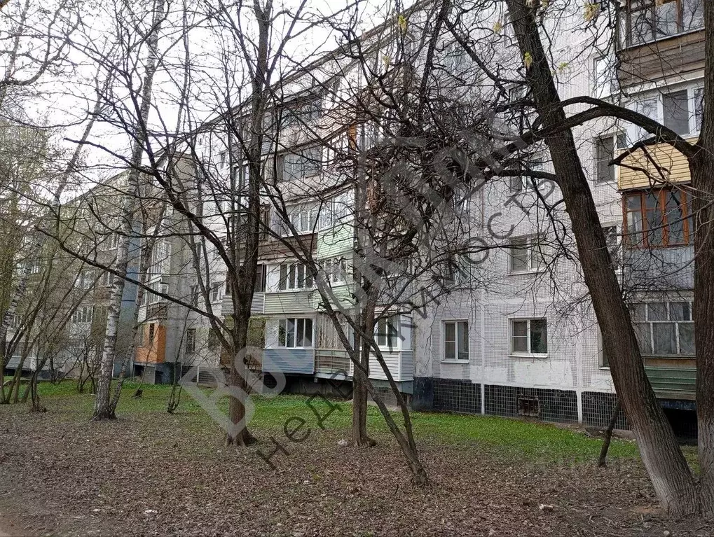3-к кв. Московская область, Электроугли Богородский городской округ, ... - Фото 1