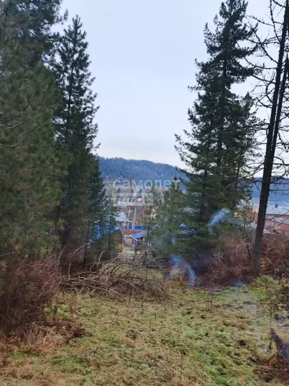 Коттедж в Алтай, Турочакский район 1 (52 м) - Фото 2