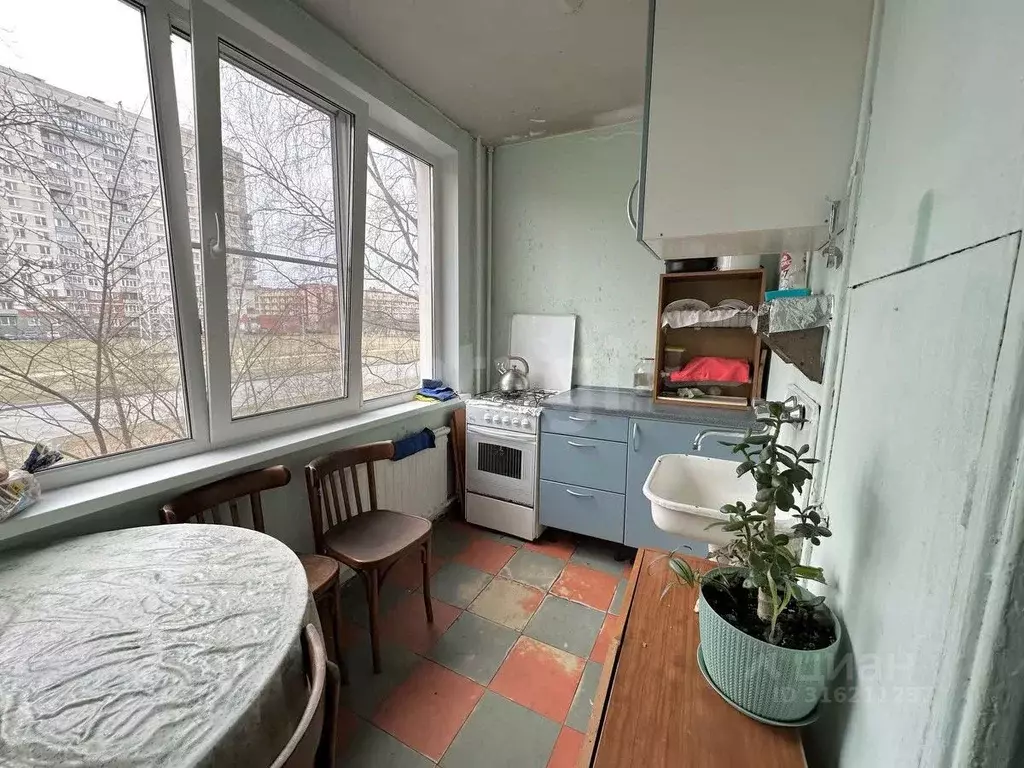 2-к кв. Санкт-Петербург ул. Вавиловых, 11К1 (45.0 м) - Фото 0