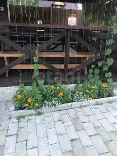 Участок в Иркутская область, Иркутский муниципальный округ, Маркова ... - Фото 2
