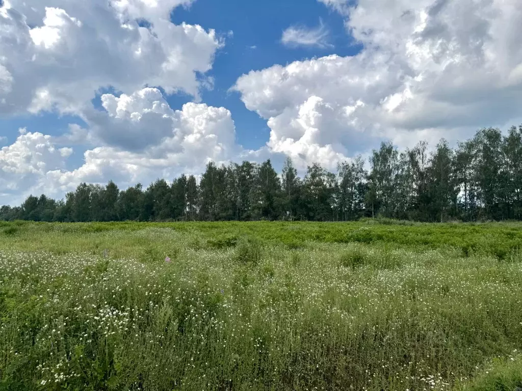 Участок в Московская область, Клин городской округ, Рижские горки кп  ... - Фото 1
