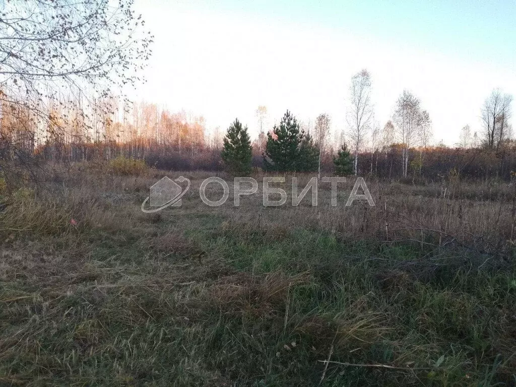 Участок в Тюменская область, Нижнетавдинский муниципальный округ, СНТ ... - Фото 1