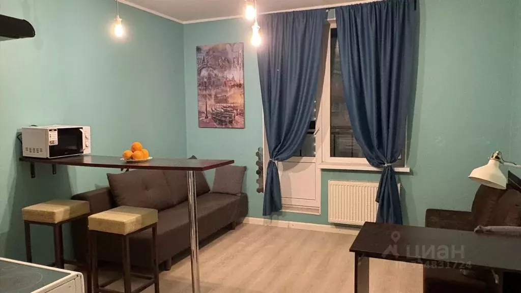 Студия Санкт-Петербург ул. Русановская, 19к3 (27.3 м) - Фото 1