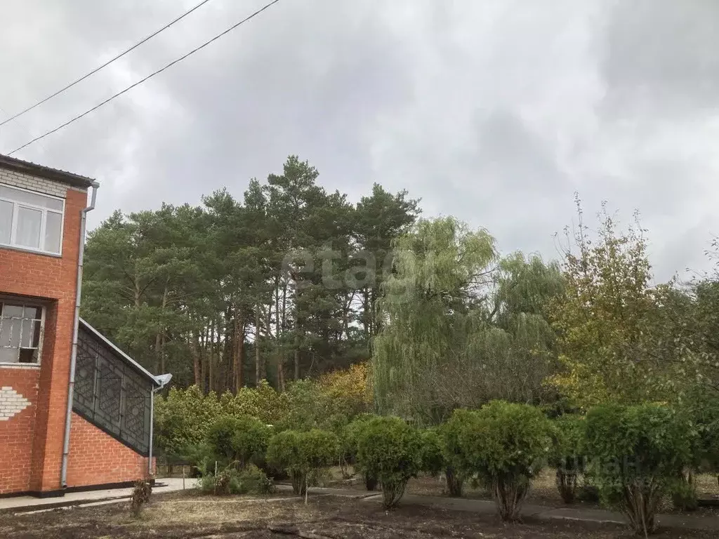 Дом в Калужская область, Дзержинский муниципальный округ, Льва ... - Фото 2