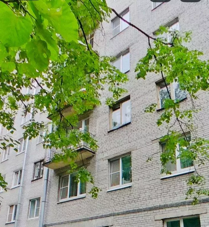 2-к кв. Санкт-Петербург 2-й Муринский просп., 34к1 (49.4 м) - Фото 1