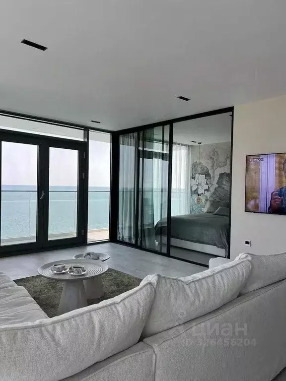 Студия Краснодарский край, Сочи ул. Ленина, 298Бк5 (33.0 м) - Фото 2