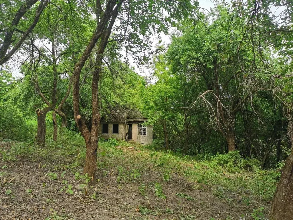 Дом в Брянская область, Брянск Родина садоводческое объединение,  (40 ... - Фото 0