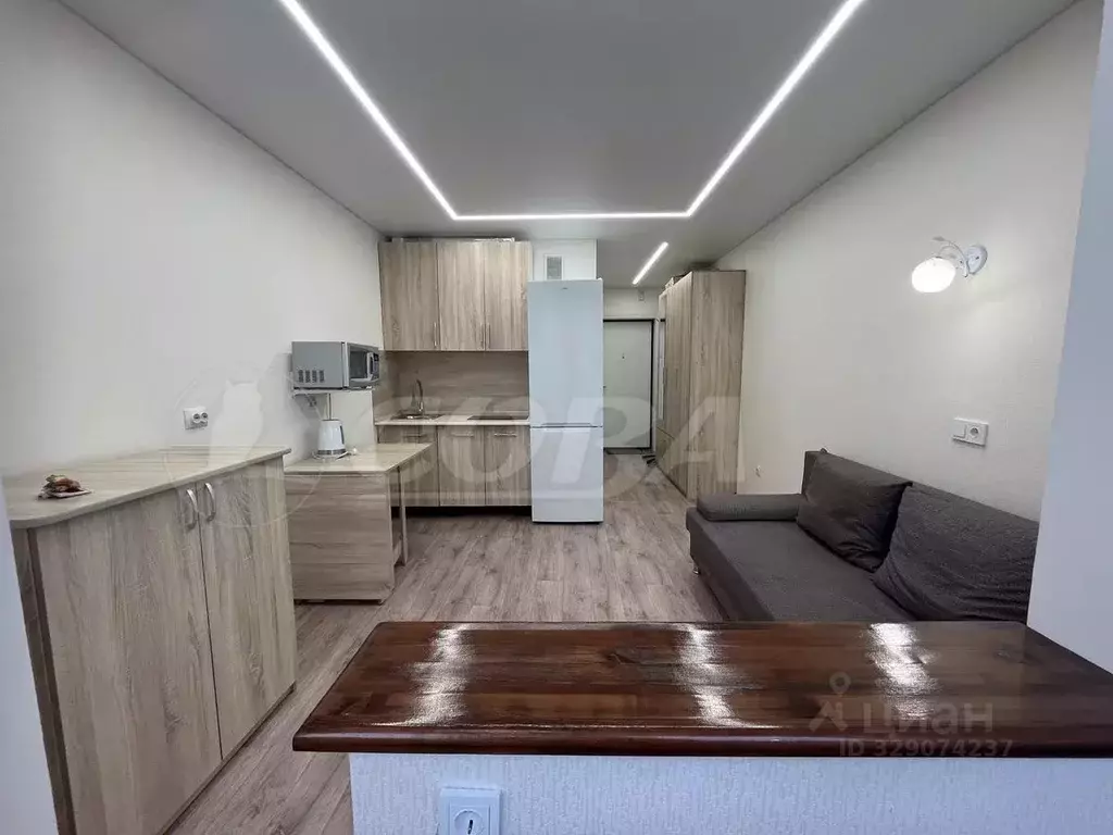Студия Тюменская область, Тюмень ул. Новоселов, 113 (20.0 м) - Фото 1