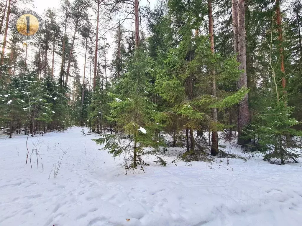 Участок в Вологодская область, Череповецкий район, Судское с/пос, д. ... - Фото 0