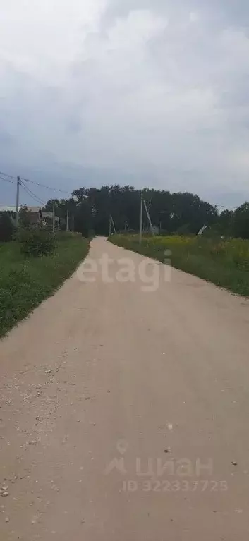 Участок в Владимирская область, Ковровский район, Новосельское с/пос, ... - Фото 1