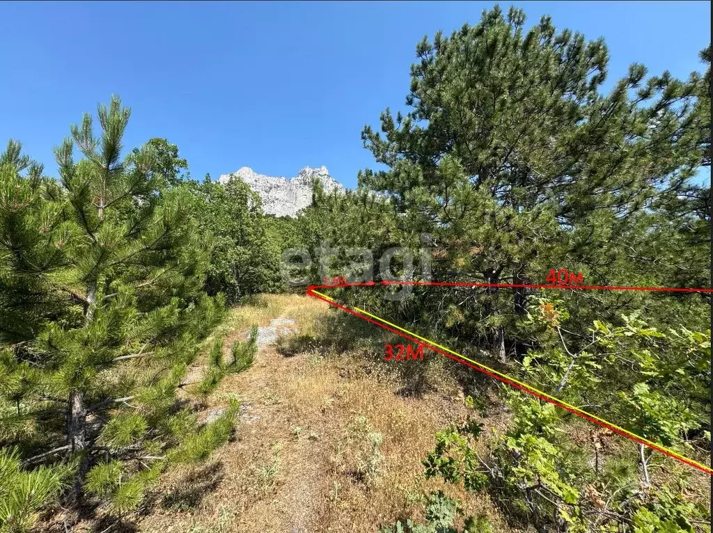 Участок в Крым, Ялта ул. К. Маркса (4.65 сот.) - Фото 1