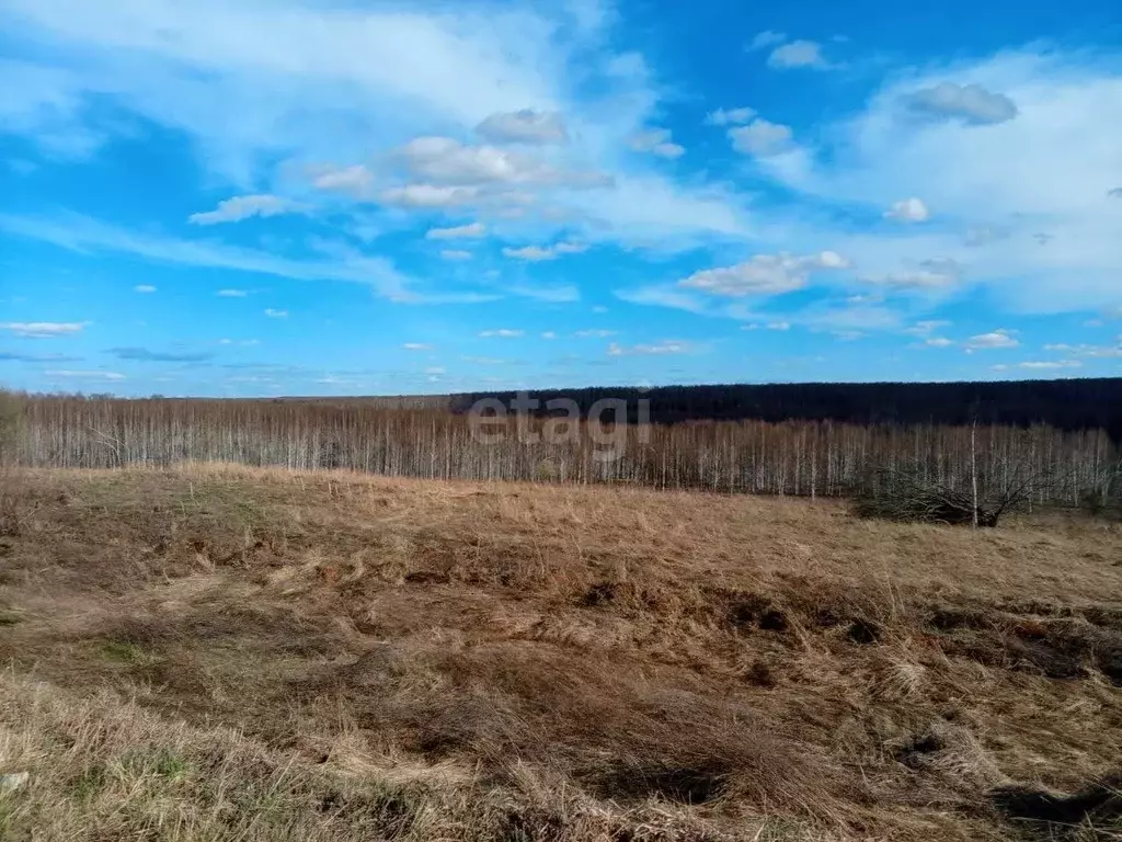 Участок в Нижегородская область, Дальнеконстантиновский муниципальный ... - Фото 1