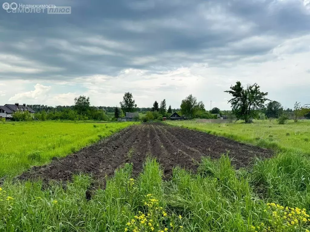 Участок в Брянская область, Выгоничское городское поселение, деревня ... - Фото 0