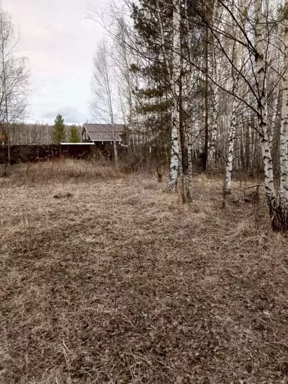 Участок в Нижегородская область, Богородский муниципальный округ, ... - Фото 1