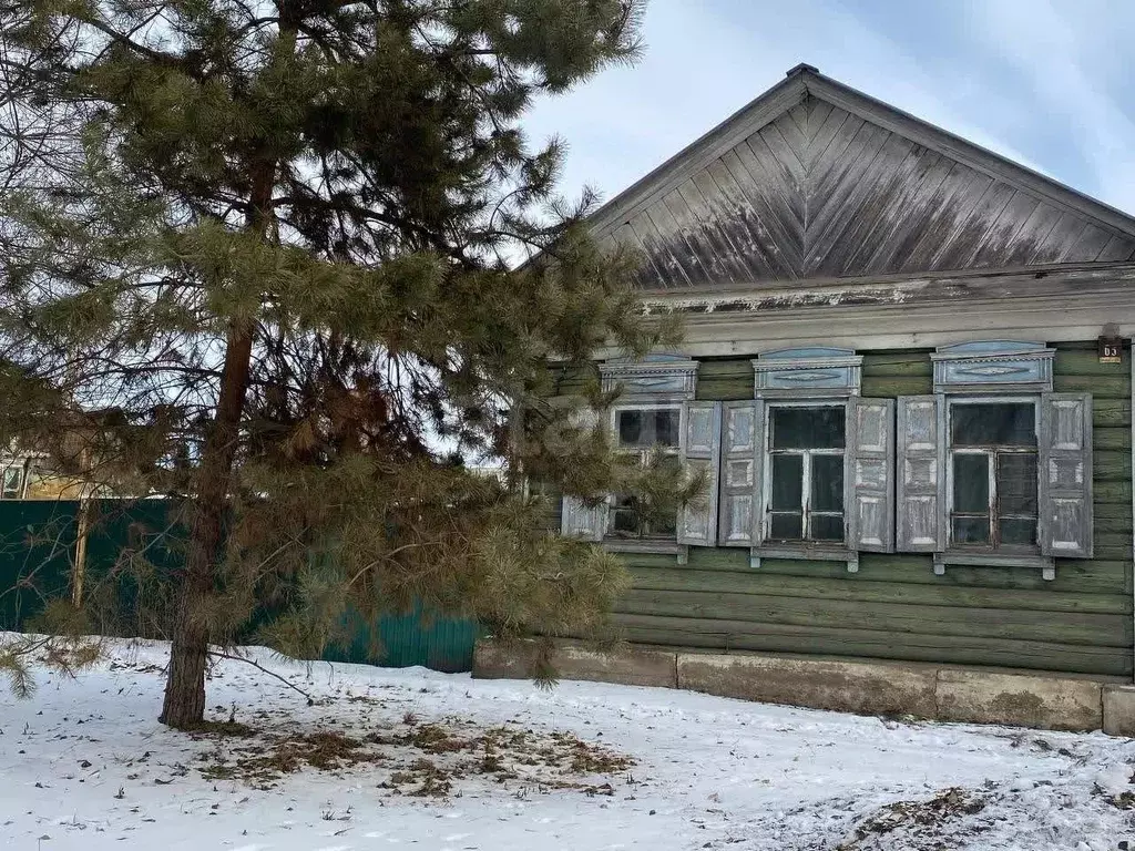 Дом в Амурская область, Благовещенск Новая ул., 63 (42 м) - Фото 1