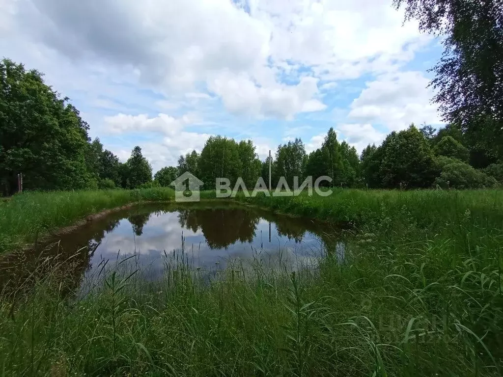Участок в Владимирская область, Судогодский район, Лавровское ... - Фото 2