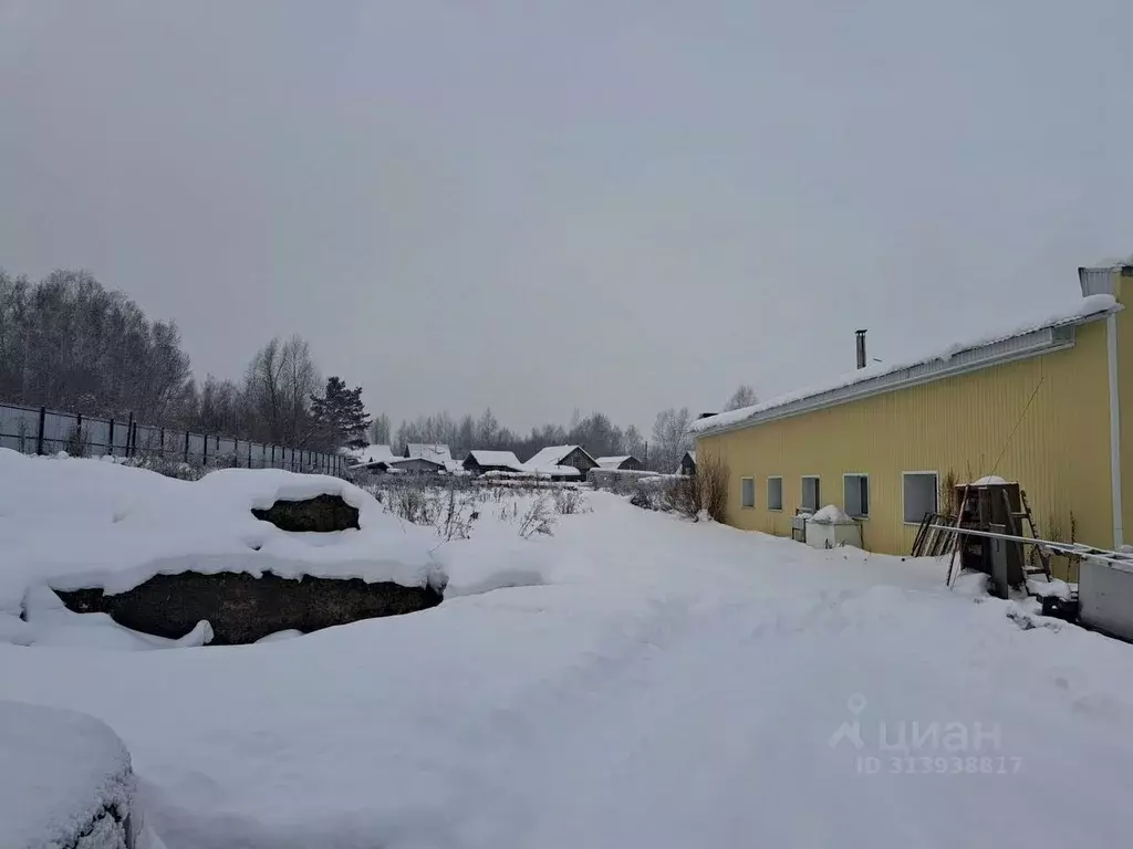 Производственное помещение в Алтай, Горно-Алтайск Коммунистический ... - Фото 1