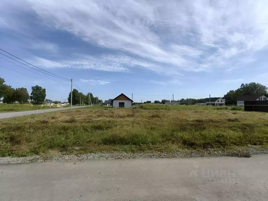 Участок в Новосибирская область, Новосибирский район, Кудряшовский ... - Фото 1