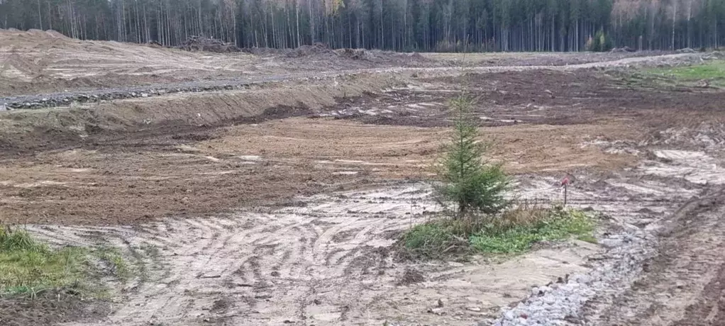 Участок в Ленинградская область, Всеволожский район, Лесколовское ... - Фото 1