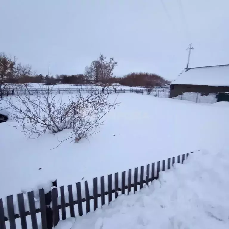 Участок в Новосибирская область, Черепановский район, Посевная рп ... - Фото 2