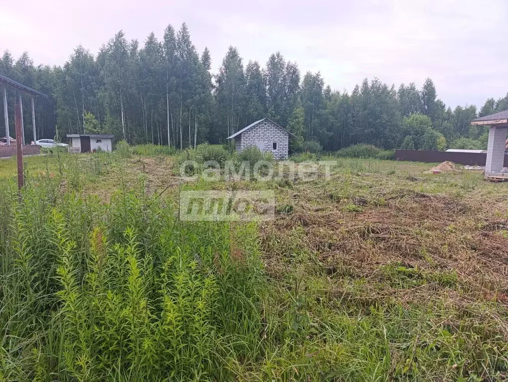 Участок в Нижегородская область, Городецкий муниципальный округ, д. ... - Фото 0