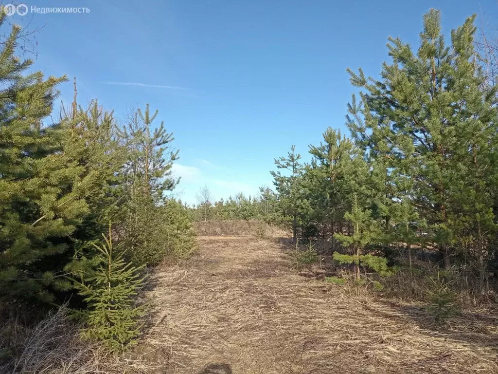 Участок в Тверская область, Калининский муниципальный округ, ... - Фото 1